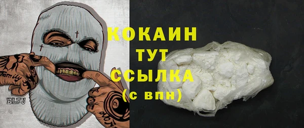 ПСИЛОЦИБИНОВЫЕ ГРИБЫ Каменногорск