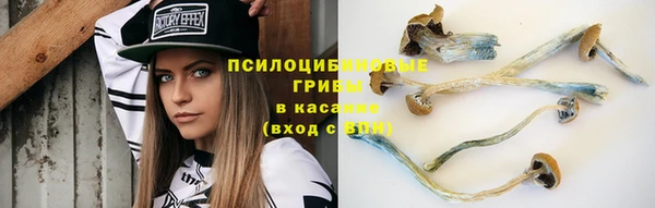 стафф Каменск-Шахтинский