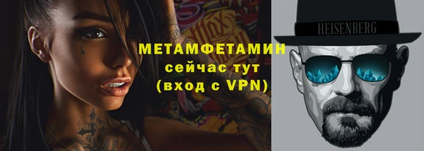 прущие грибы Карпинск