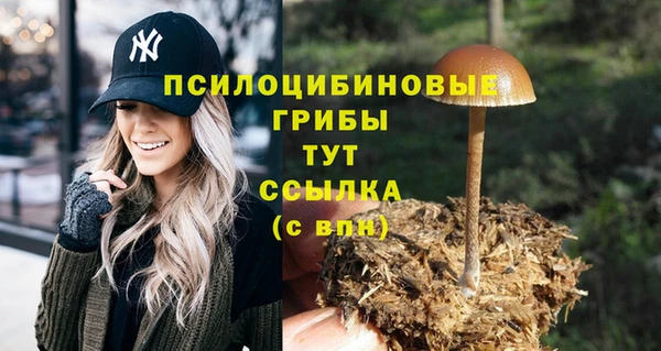 стафф Каменск-Шахтинский