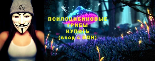 стафф Каменск-Шахтинский