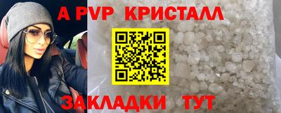 прущие грибы Кингисепп