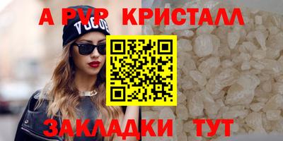 ECSTASY Беслан