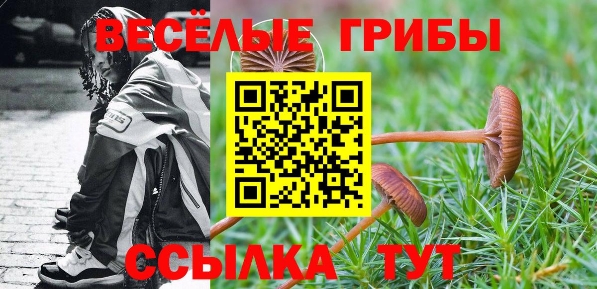 Галлюциногенные грибы Psilocybe Рыбинск