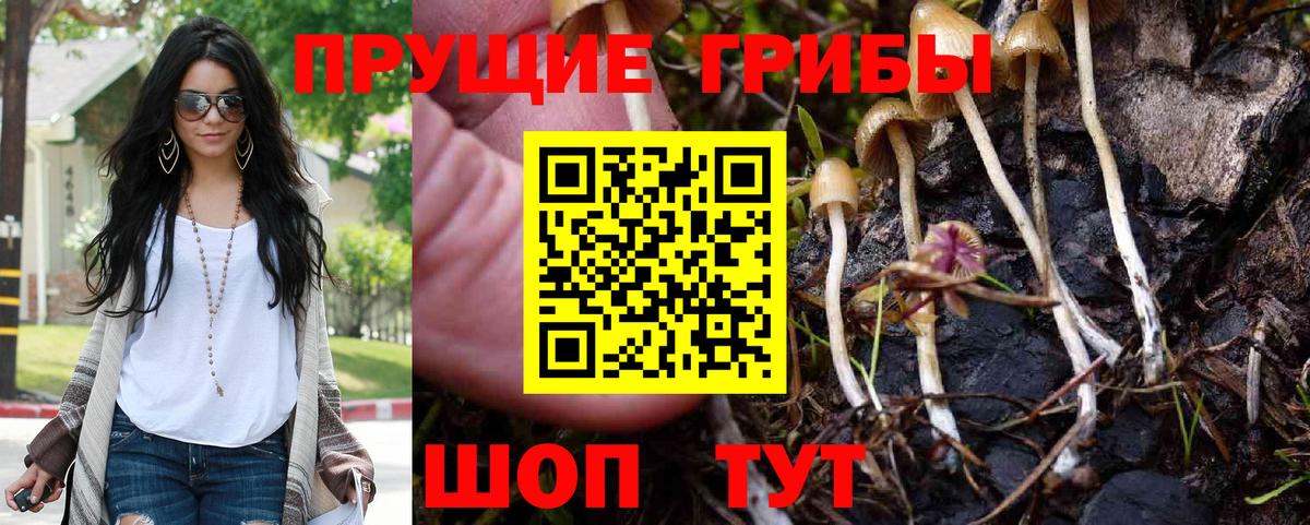 Галлюциногенные грибы Psilocybe  Вход с VPN  Рыбинск 